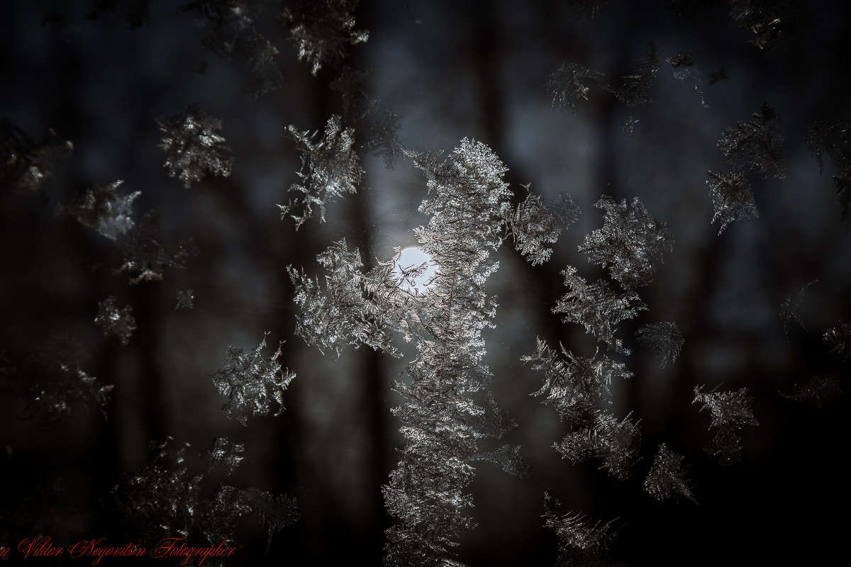 ... ����� Viktor Nogovitsin �� PhotoGeek.ru #�����