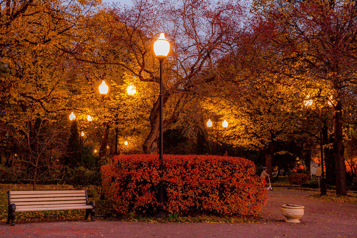 �����. ����� Viktor Nogovitsin �� PhotoGeek.ru #������ ��� �������