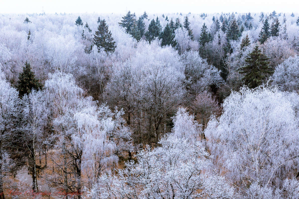 ... ����� Viktor Nogovitsin �� PhotoGeek.ru #������ ��� �������