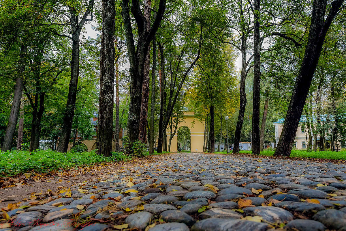 ... ����� Viktor Nogovitsin �� PhotoGeek.ru #������ ��� �������