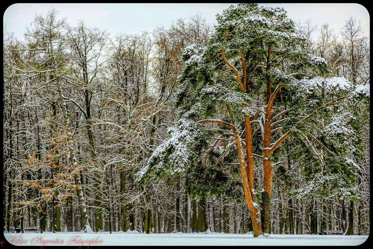 ... ����� Viktor Nogovitsin �� PhotoGeek.ru #������ ��� �������