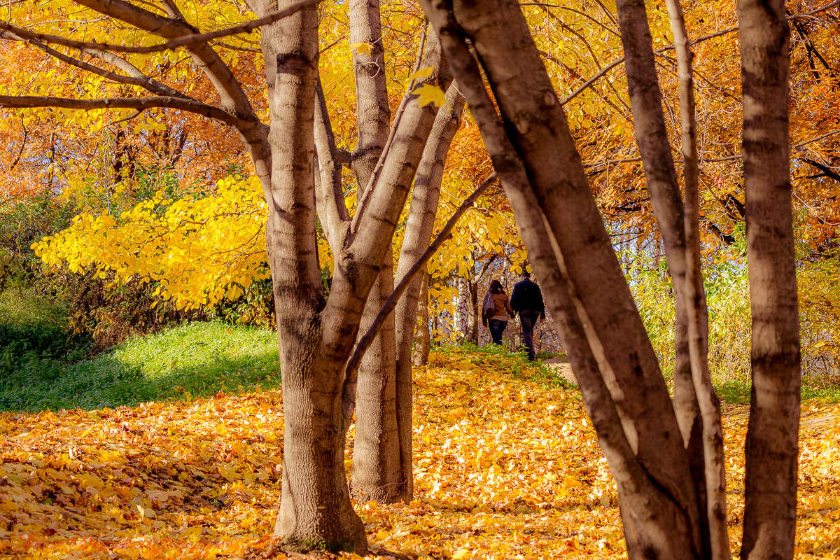 ... ����� Viktor Nogovitsin �� PhotoGeek.ru #������ ��� �������