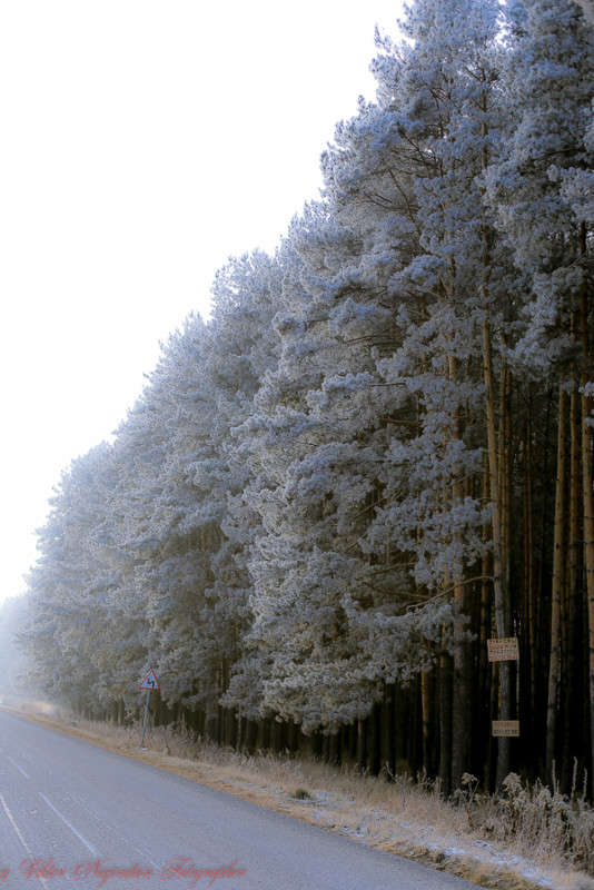 ... ����� Viktor Nogovitsin �� PhotoGeek.ru #������ ��� �������