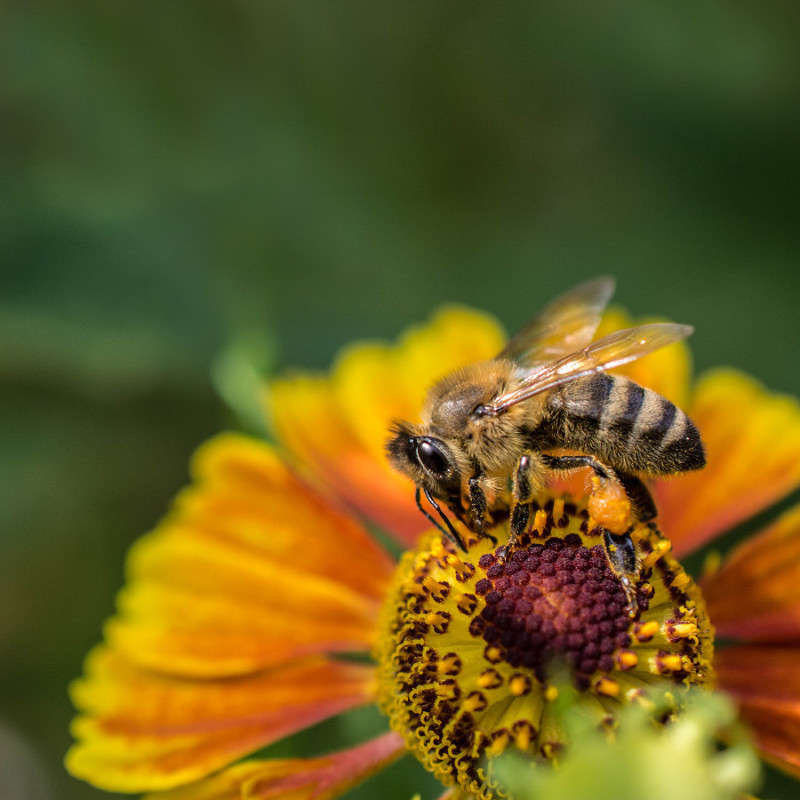 ... ����� gal  �� PhotoGeek.ru #����� #����� �������������� #���������