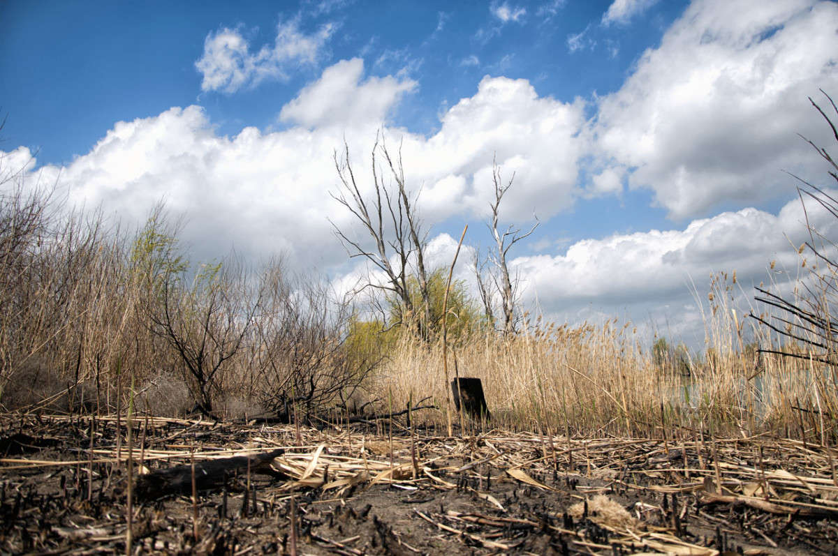 ... ����� Volkov  �� PhotoGeek.ru #������ ��� �������