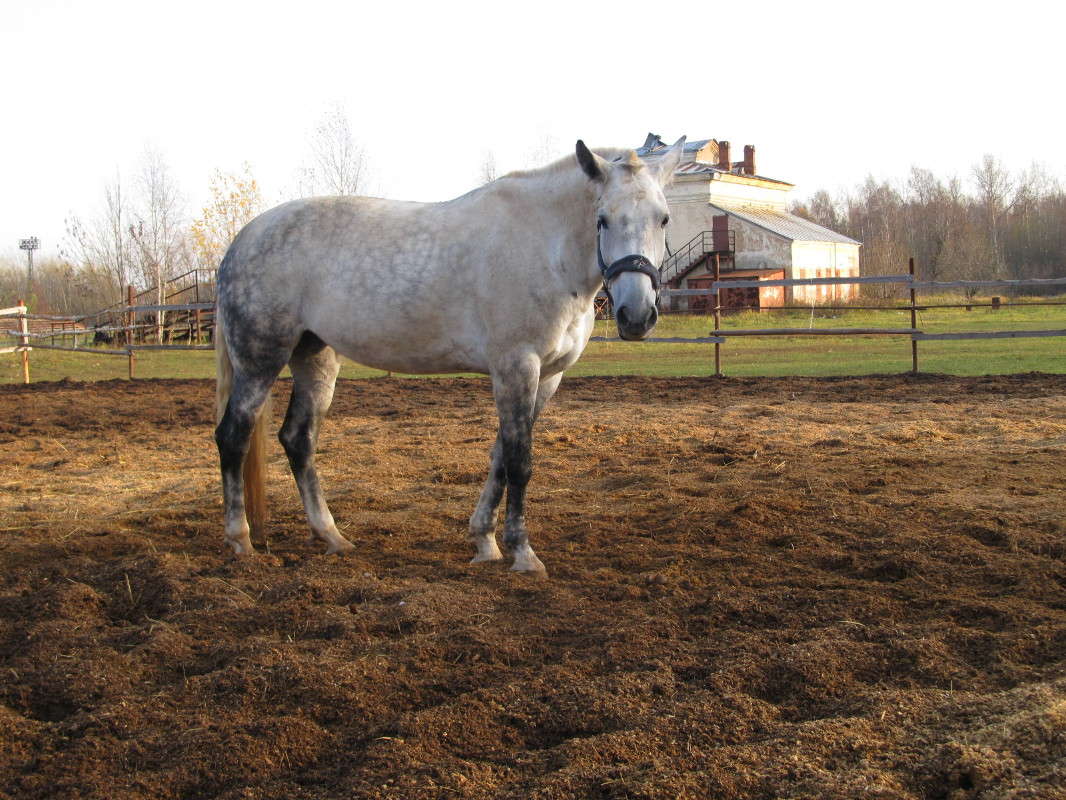 ������ ����� ����� ������� �� PhotoGeek.ru #�������� ���