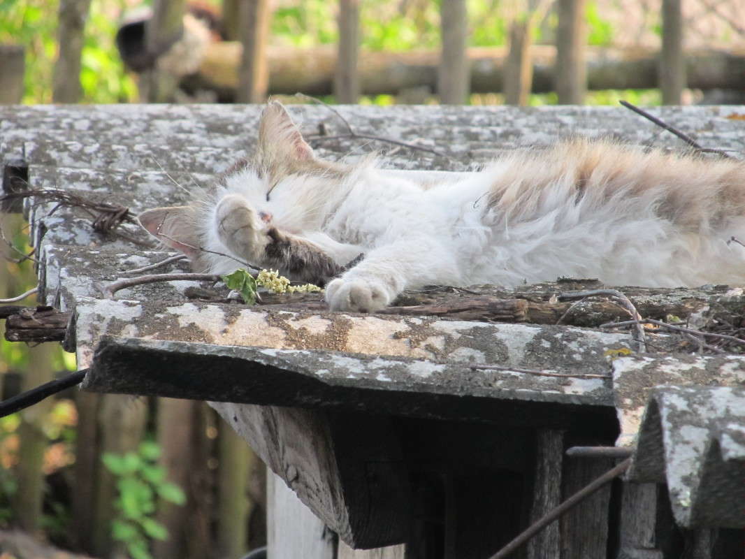 �� ����������� ������ ����� ����� ������� �� PhotoGeek.ru #�������� ���