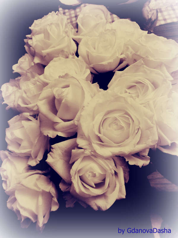 ���� ���� ����� ����� ������� �� PhotoGeek.ru #����� ��������������