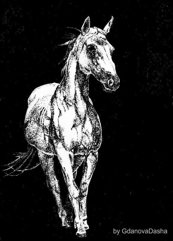 ������ ����� ����� ������� �� PhotoGeek.ru #�������� ��� #�������� ��� #�����-�����