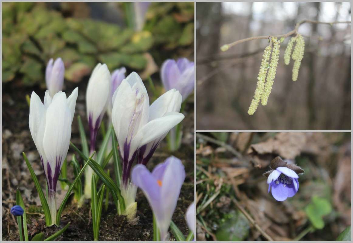 ... ����� ����  �� PhotoGeek.ru #������ ��� �������