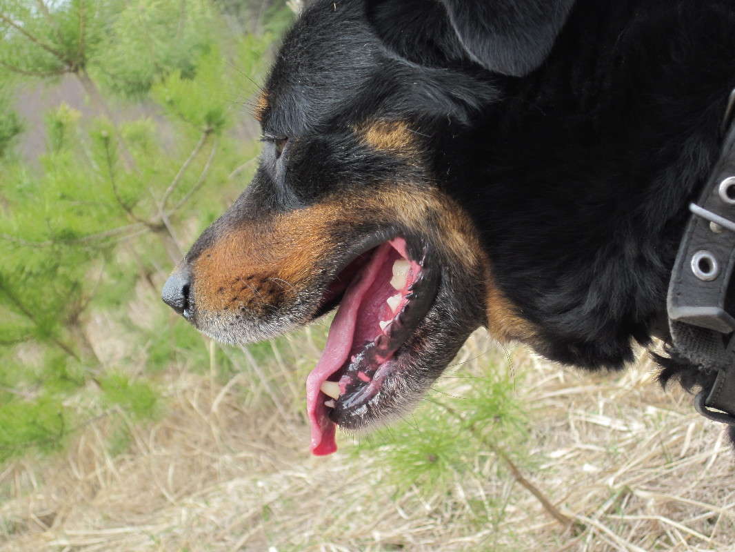 ... ����� ����  �� PhotoGeek.ru #�������� ���