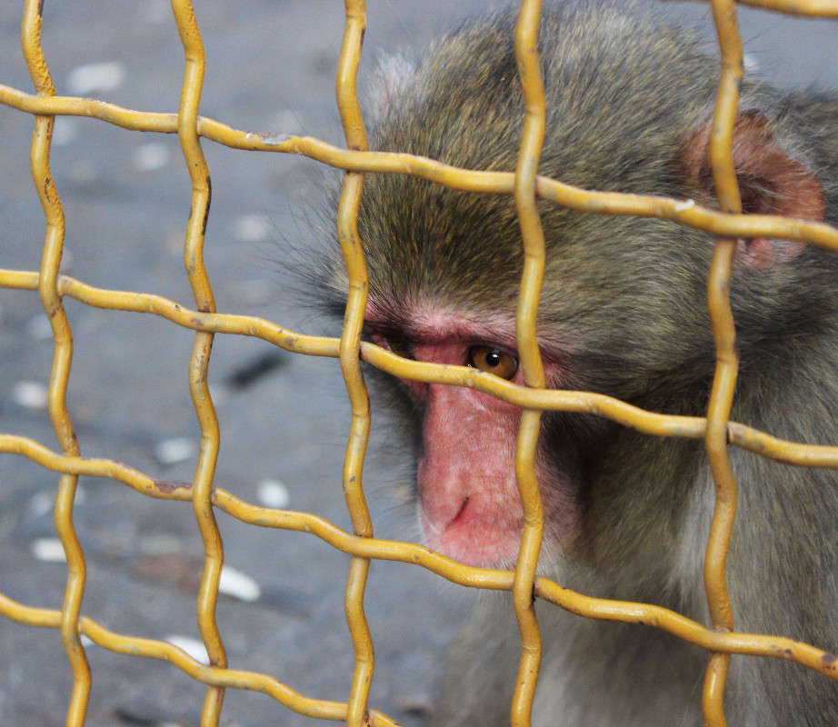 ... ����� ����  �� PhotoGeek.ru #�������� ���