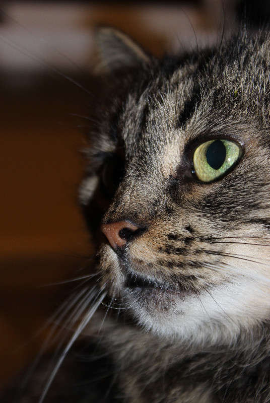 ... ����� ����  �� PhotoGeek.ru #�������� ���