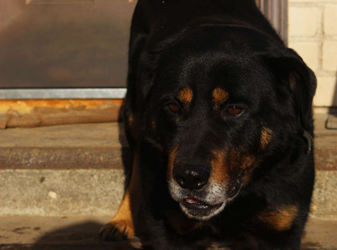 ... ����� ����  �� PhotoGeek.ru #�������� ���