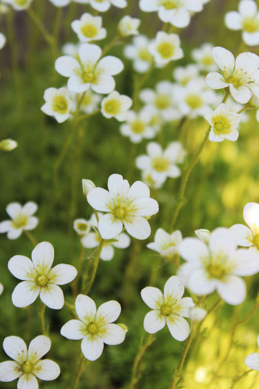 ... ����� ����  �� PhotoGeek.ru #������ ��� �������