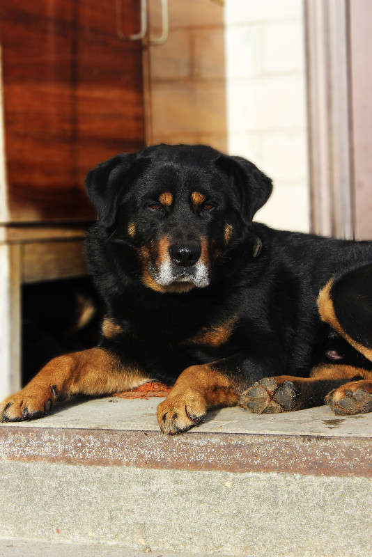 ... ����� ����  �� PhotoGeek.ru #�������� ���