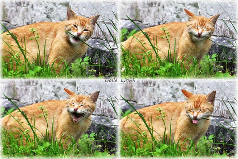 ������� ������ ����� ����� ����� �� PhotoGeek.ru #�������� ���