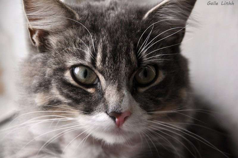 ��� ������� ����� ����� ����� �� PhotoGeek.ru #�������� ��� #�������� ���