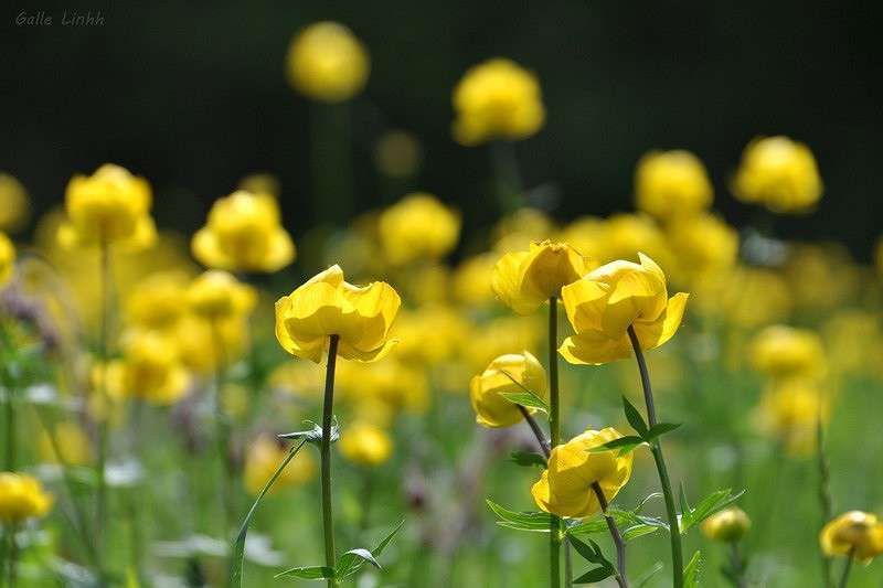 �� ������ ������ ����� ����� ����� �� PhotoGeek.ru #������ ��� �������