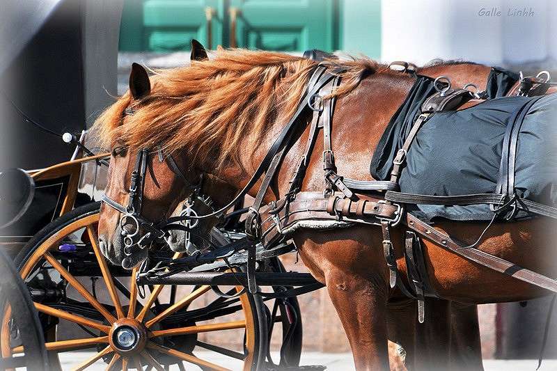 ��������� ������ ����� ����� ����� �� PhotoGeek.ru #�������� ���