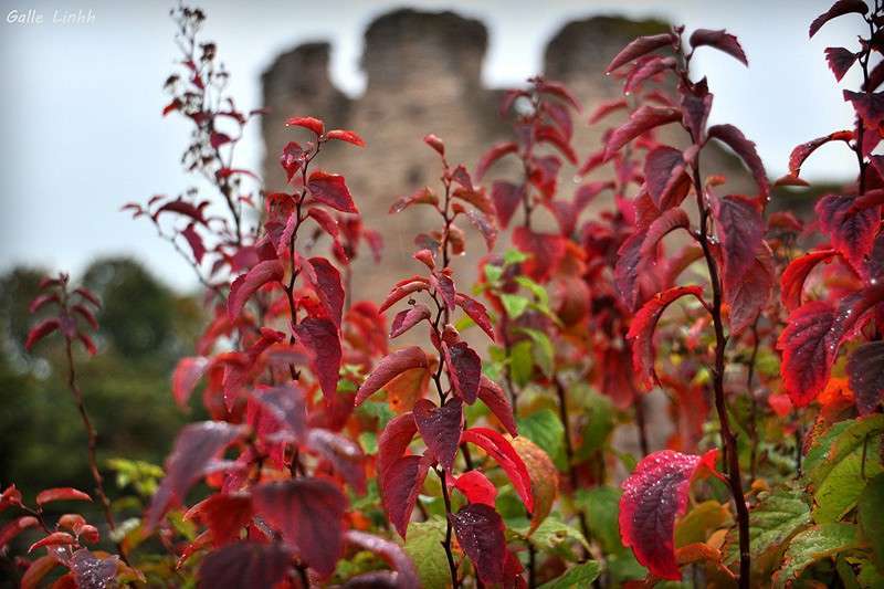 ����� � ������� ����� ����� ����� �� PhotoGeek.ru #������ ��� �������