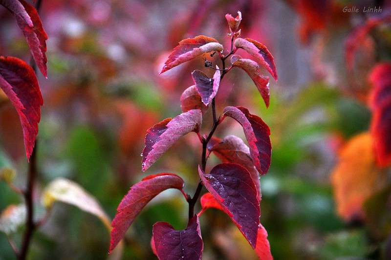 ... ����� ����� ����� �� PhotoGeek.ru #������ ��� �������