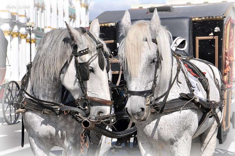 ���� ����� ����� ����� ����� �� PhotoGeek.ru #�������� ���