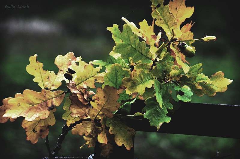 ... ����� ����� ����� �� PhotoGeek.ru #������ ��� �������