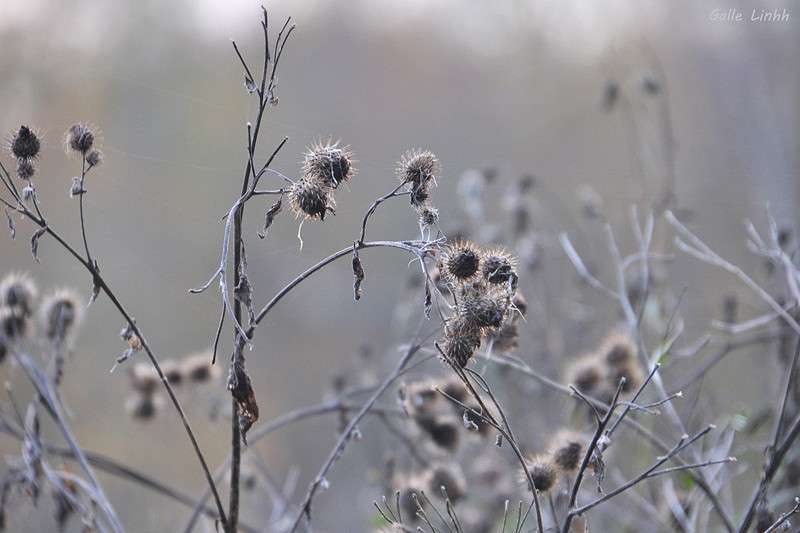 ... ����� ����� ����� �� PhotoGeek.ru #������ ��� �������