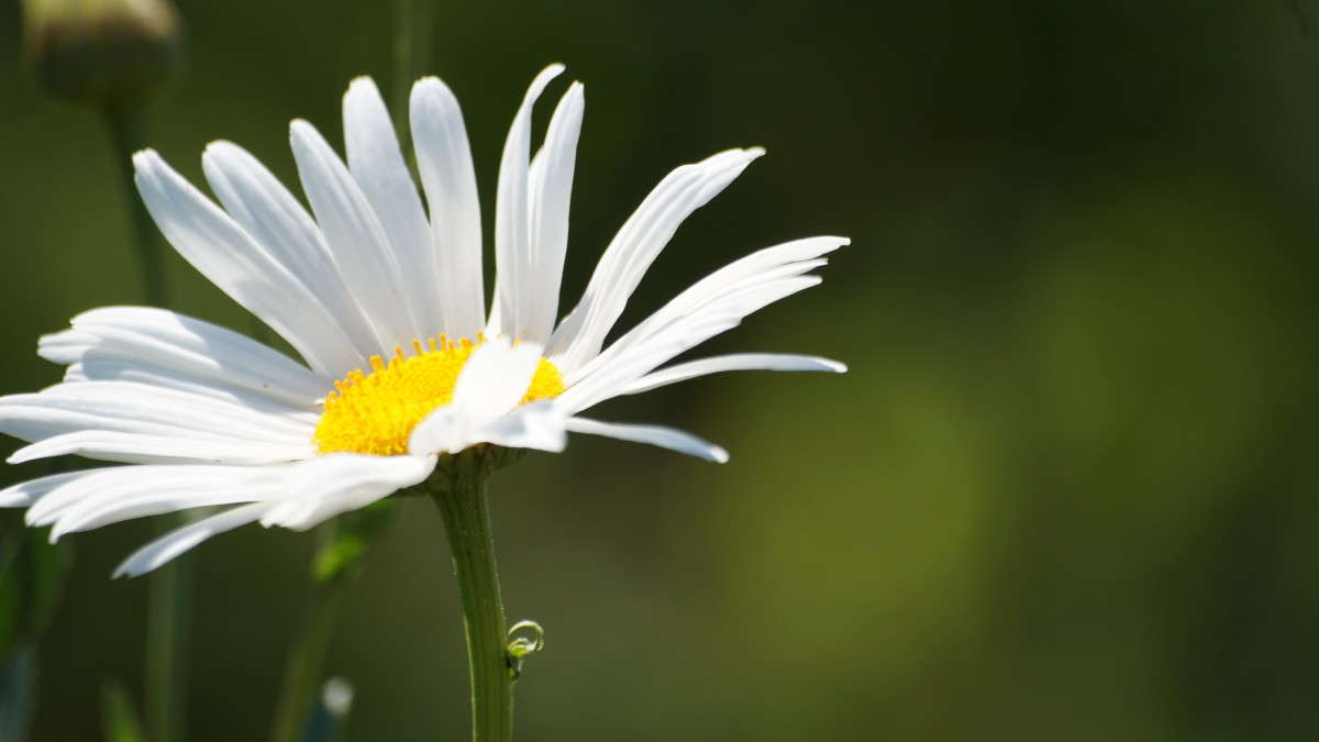 ... ����� alex  �� PhotoGeek.ru #�����