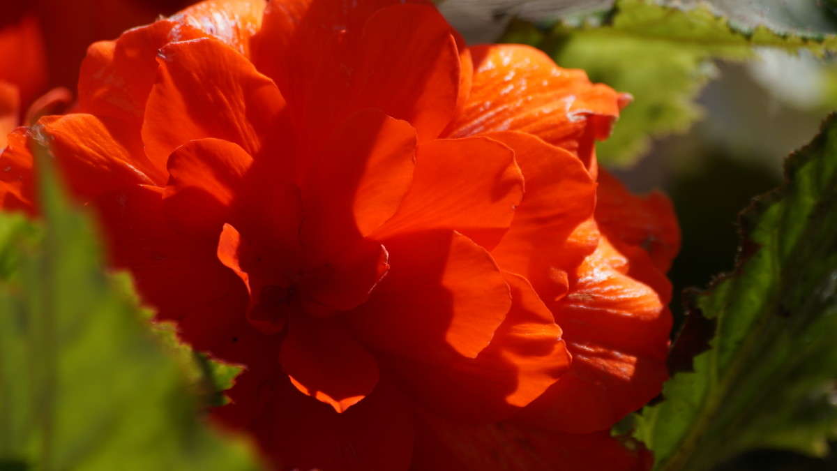 ... ����� alex  �� PhotoGeek.ru #�����