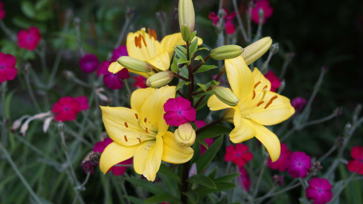 ... ����� alex  �� PhotoGeek.ru #�����