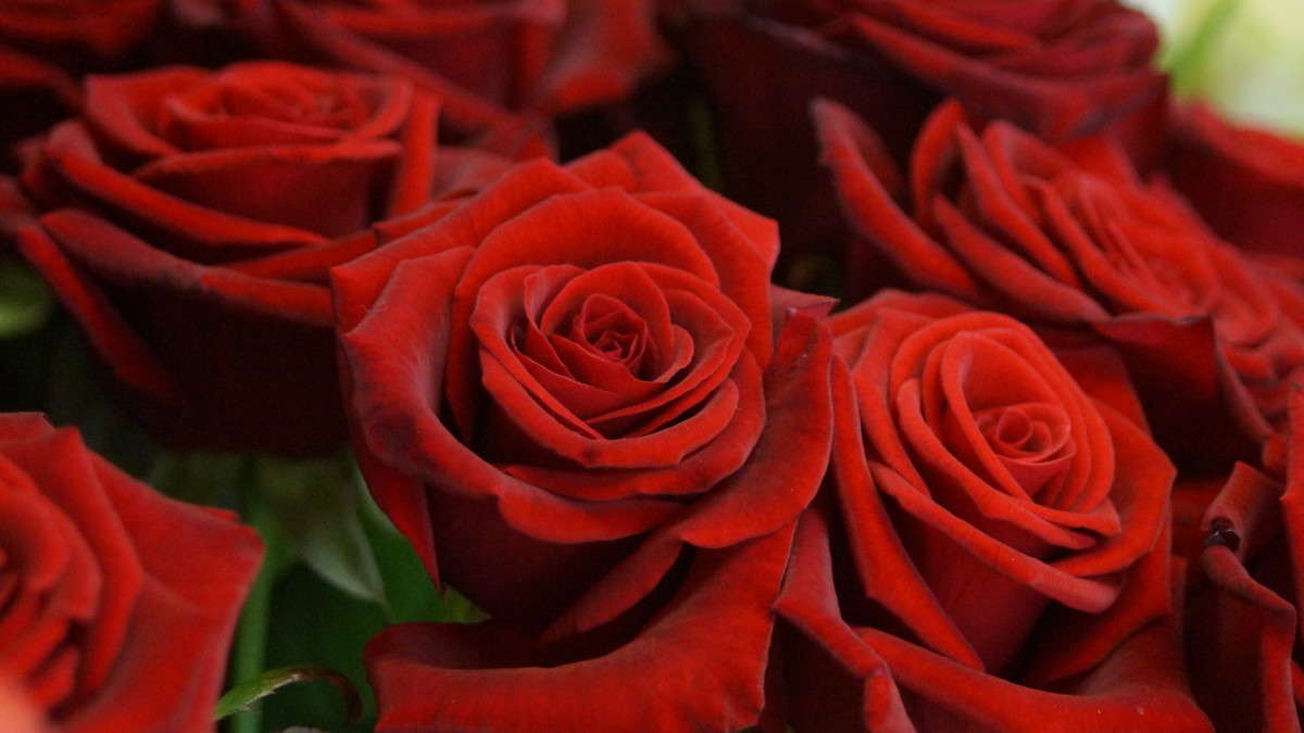 ... ����� alex  �� PhotoGeek.ru #�����