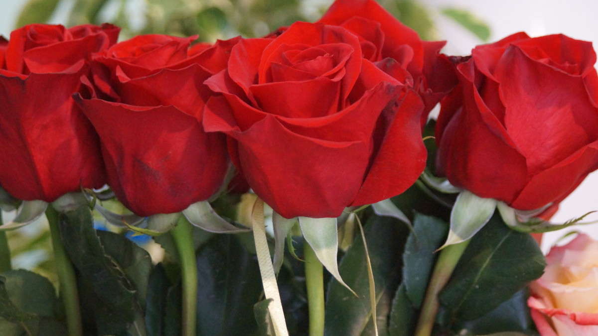 ... ����� alex  �� PhotoGeek.ru #�����