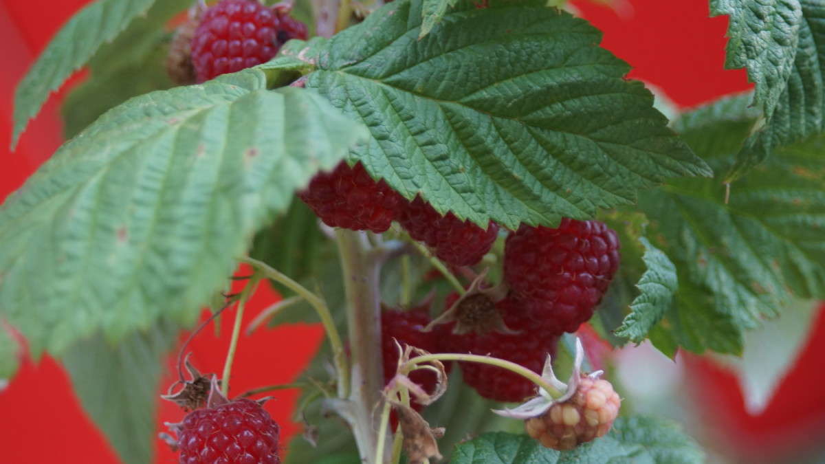 ... ����� alex  �� PhotoGeek.ru #�����