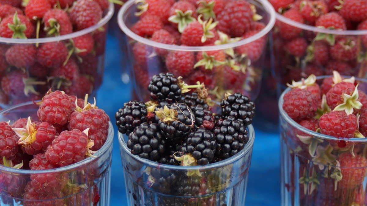 ... ����� alex  �� PhotoGeek.ru #�����