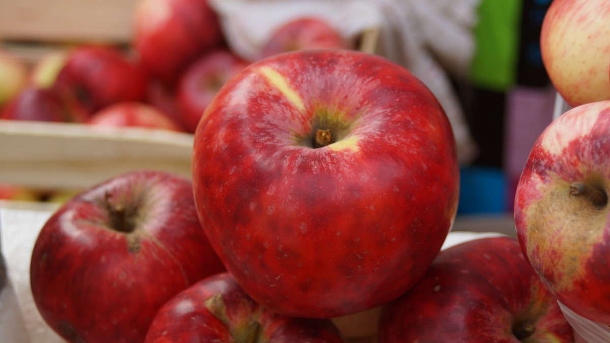 ... ����� alex  �� PhotoGeek.ru #�����