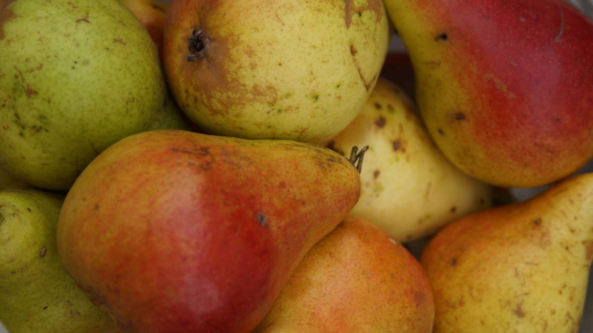 ... ����� alex  �� PhotoGeek.ru #���������