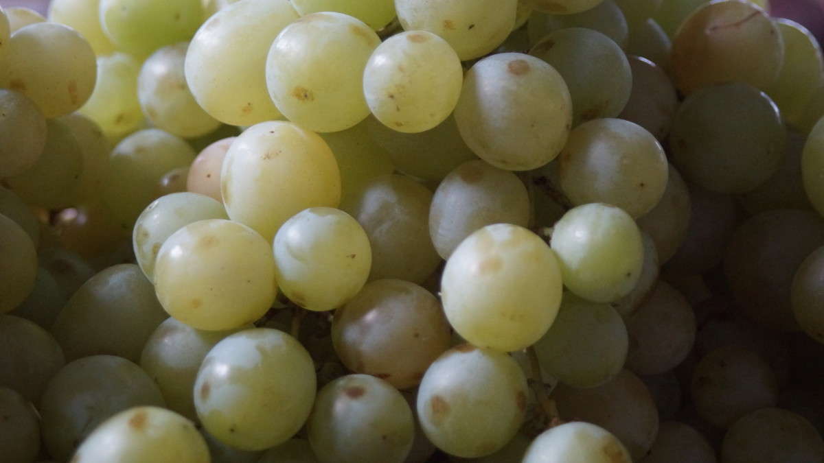 ... ����� alex  �� PhotoGeek.ru #���������