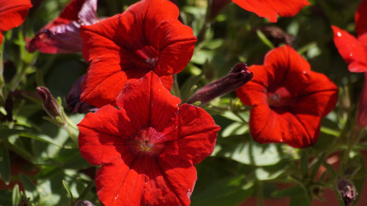 ... ����� alex  �� PhotoGeek.ru #�����