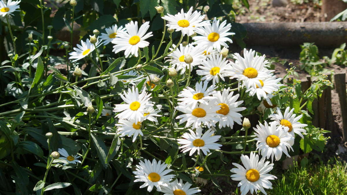 ... ����� alex  �� PhotoGeek.ru #�����