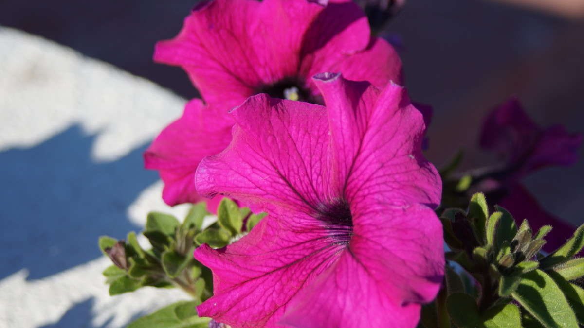 ... ����� alex  �� PhotoGeek.ru #�����