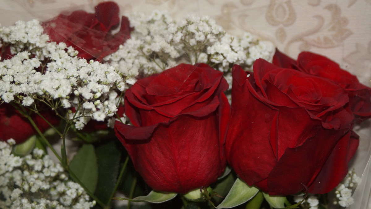 ... ����� alex  �� PhotoGeek.ru #�����