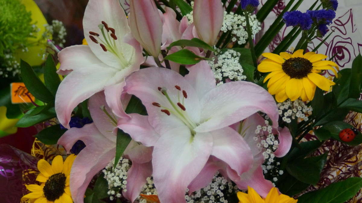 ����� ����� alex  �� PhotoGeek.ru #������ ��� �������