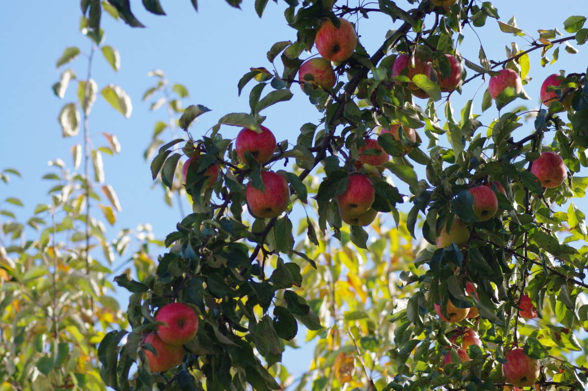 ������ ����� alex  �� PhotoGeek.ru #���������