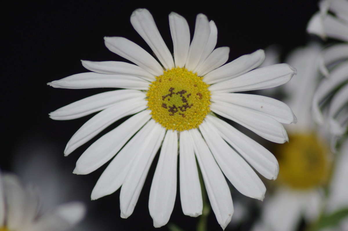 ������� ����� alex  �� PhotoGeek.ru #�����