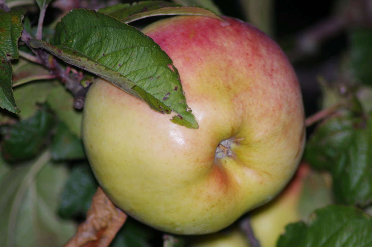 ������! ����� alex  �� PhotoGeek.ru #���������