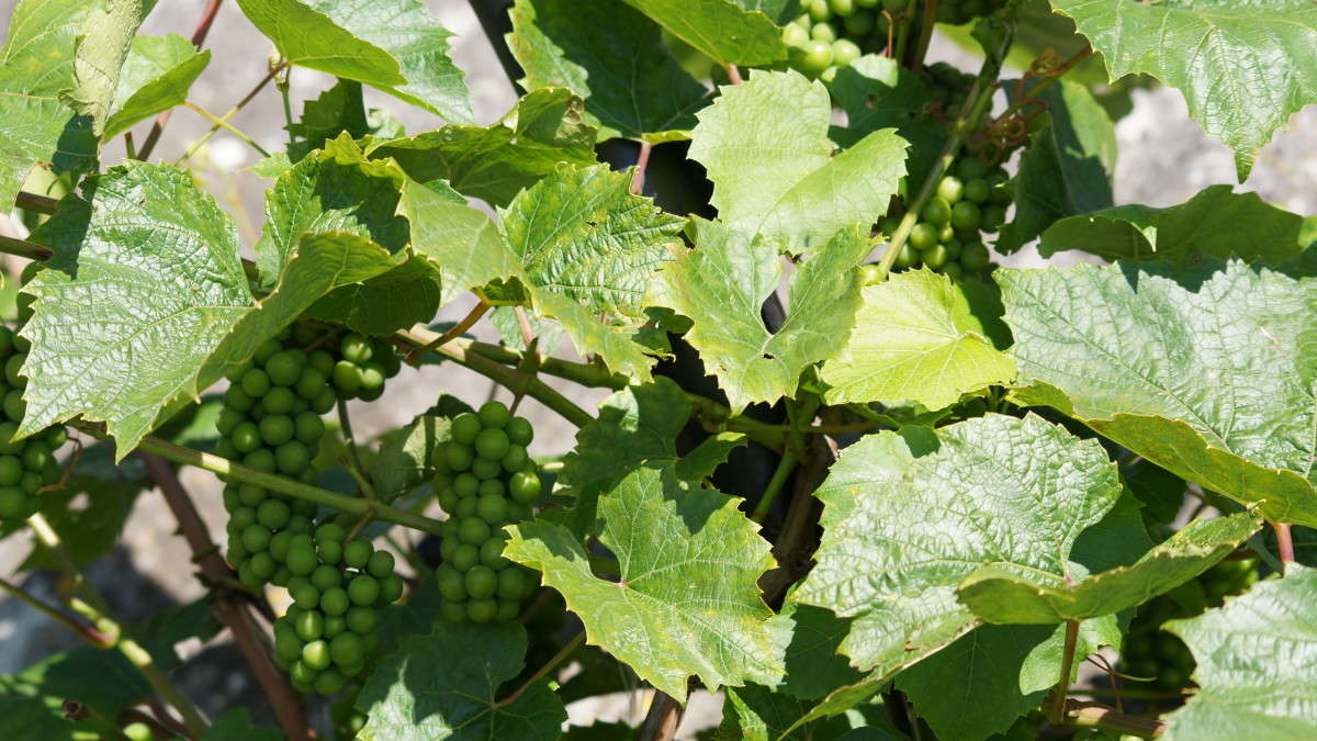 �������� ������! ����� alex  �� PhotoGeek.ru #������ ��� �������