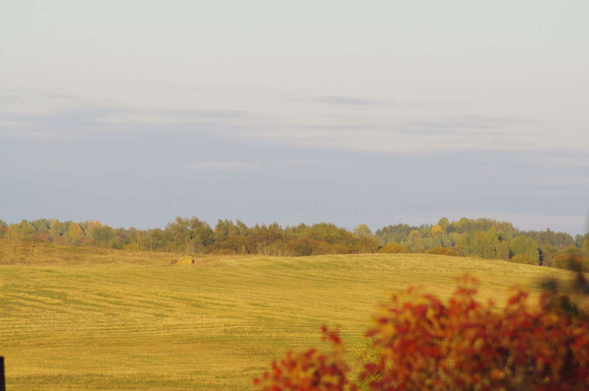 ���� ����� alex  �� PhotoGeek.ru #������ ��� �������