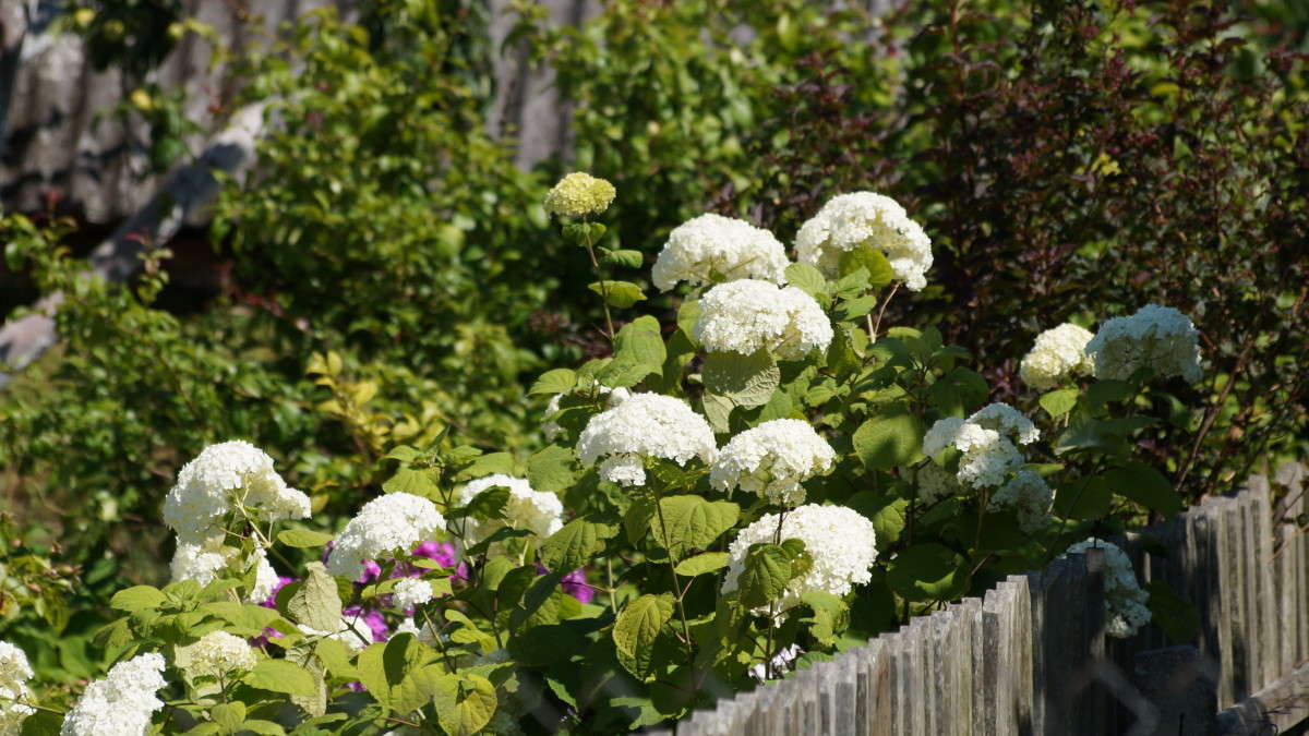 ���� ! ����� alex  �� PhotoGeek.ru #������ ��� �������